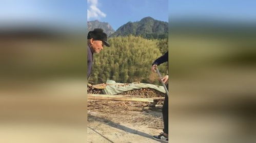 老骥伏枥,志在千里