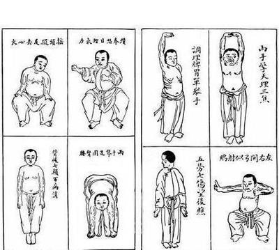 拉筋方法,老骥伏枥,健身气功,导引养生功,运动锻炼,中医经络