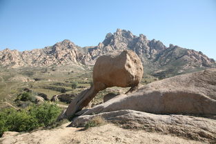 老骥伏枥,请看看还行吗