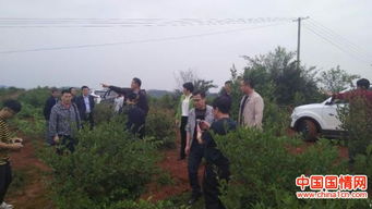 垂头自惜千金骨,伏枥仍存万里心