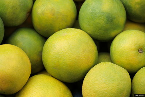 柑橘类水果 水果 食品 植物 葡萄柚 生产 美食摄影图片图片壁纸 美食摄影图片图片壁纸