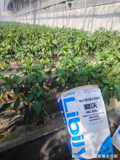 水溶肥厂家,经销商这样选择