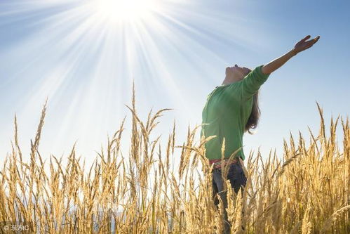 励志古诗文60句 苔花如米小,也学牡丹开