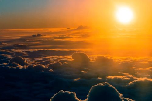 老骥伏枥度炎夏